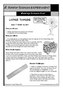 Living Things Science Experiment: Was it ever alive?