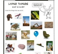 Living Things Science Experiment - What is alive?